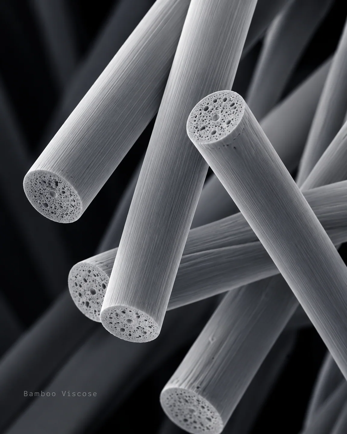 Illustrative Bamboo viscose microscopic visualization