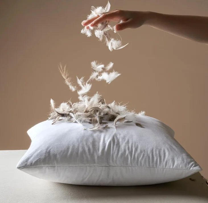 Feather Down Throw Pillow Inserts- with Organic Cotton Cover, Goose Feather Square White Decorative Pillow Inserts for Bed, Sofa, and Couch — product image 4