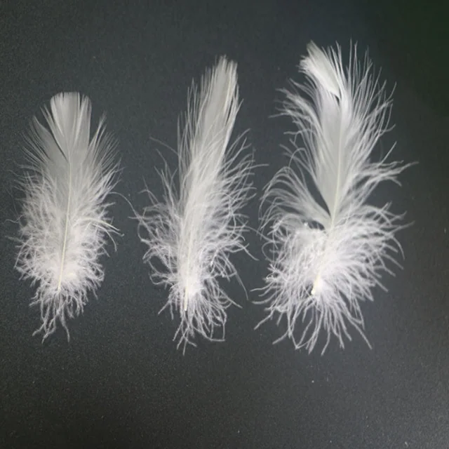 2-4 Washed White Duck Feather — product image 7