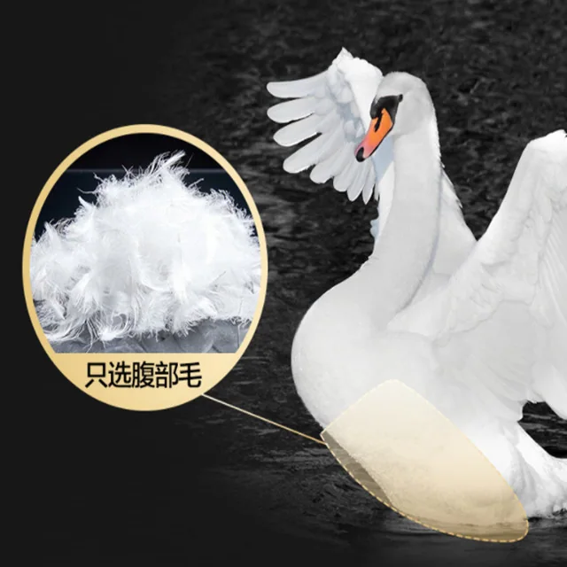 2-4 Washed White Duck Feather — product image 8