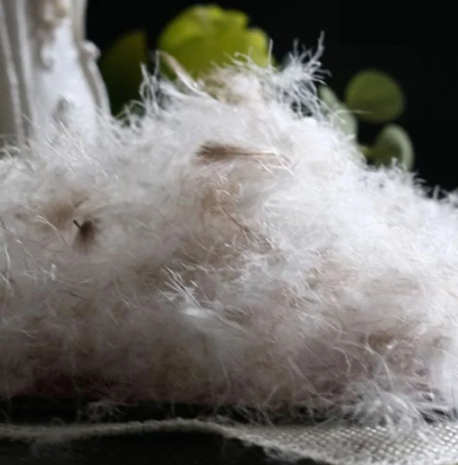 80% Washed Grey Duck Feather For Jacket,Duvet & Pillow — product image 8