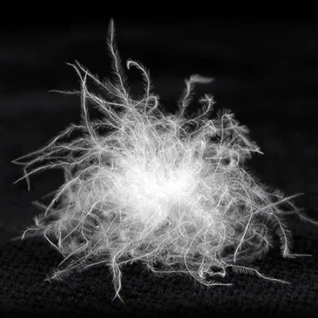 90%Washed White Duck Down Feather Filled For Down Jacket ,Duvet & Pillow — product image 3