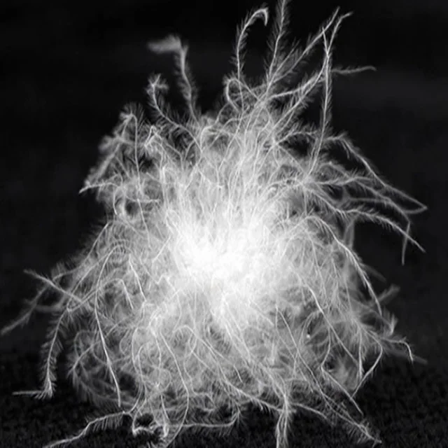 80% Washed Grey Duck Feather For Jacket,Duvet & Pillow — product image 7