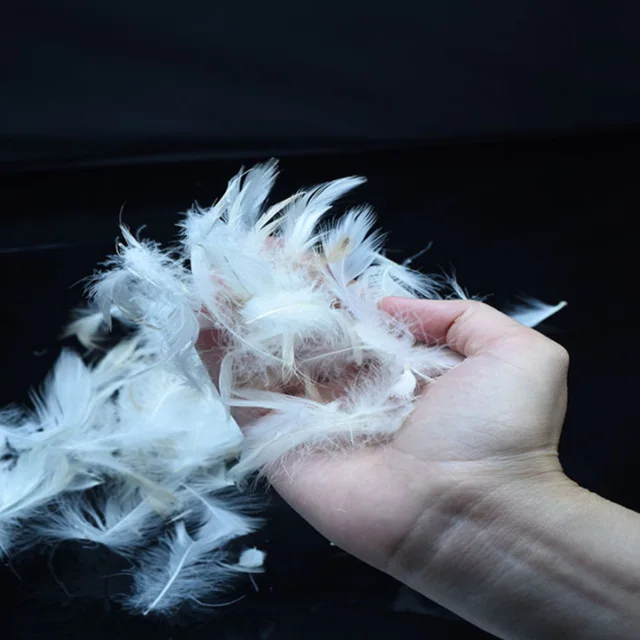 2-4 Washed White Duck Feather — product image 5