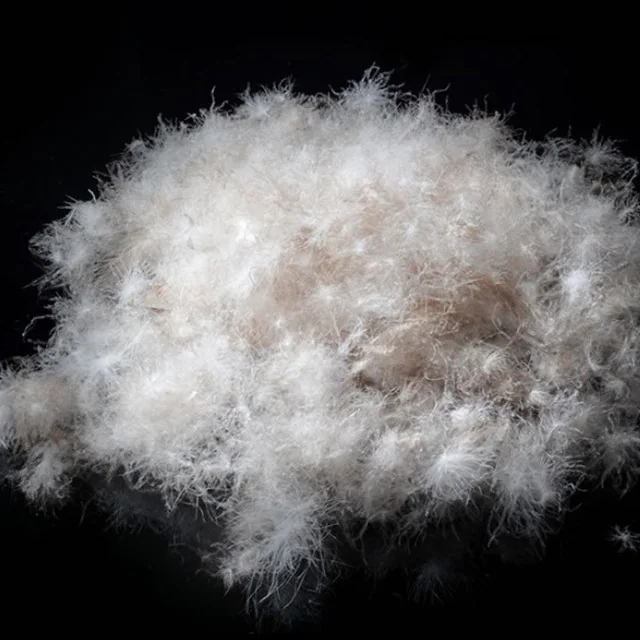 80% Washed Grey Duck Feather For Jacket,Duvet & Pillow — product image 6