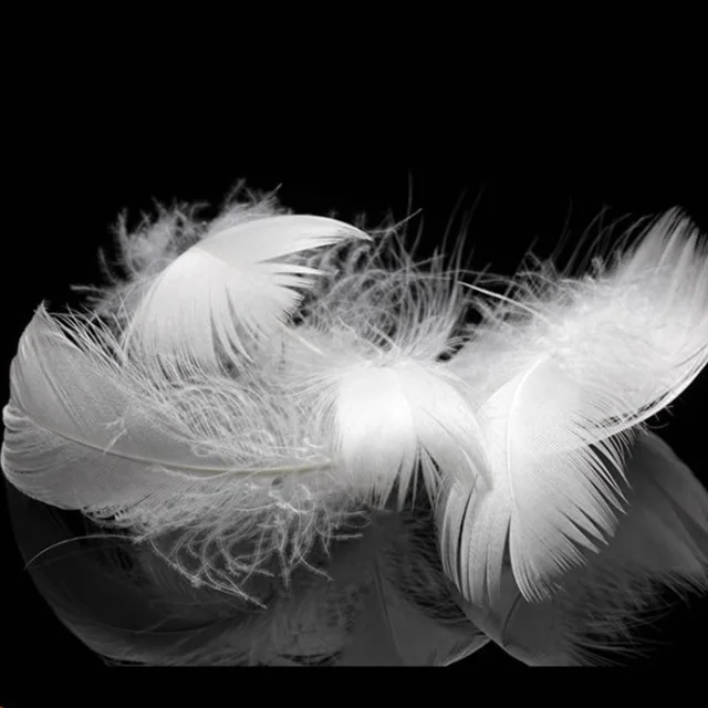 2-4 Washed White Duck Feather — product image 3